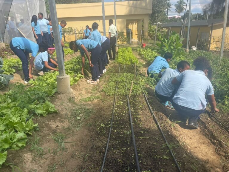 En el Centro Educativo en Artes José Cabrera se cosecha más que conocimientos.